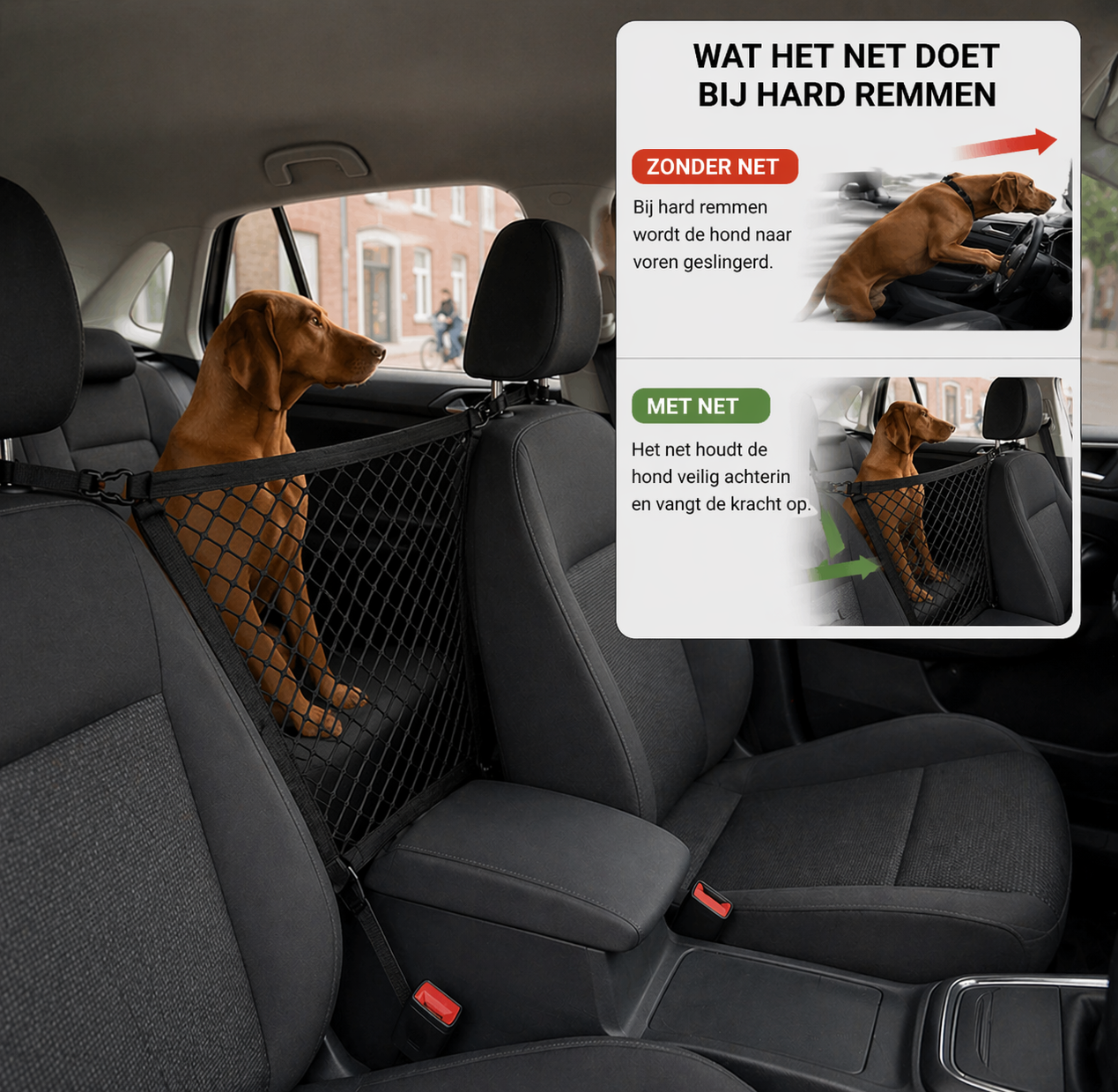Pootr – AutoSafe Hondennet | “Voorkom dat je hond naar voren schiet bij een plotse rem”