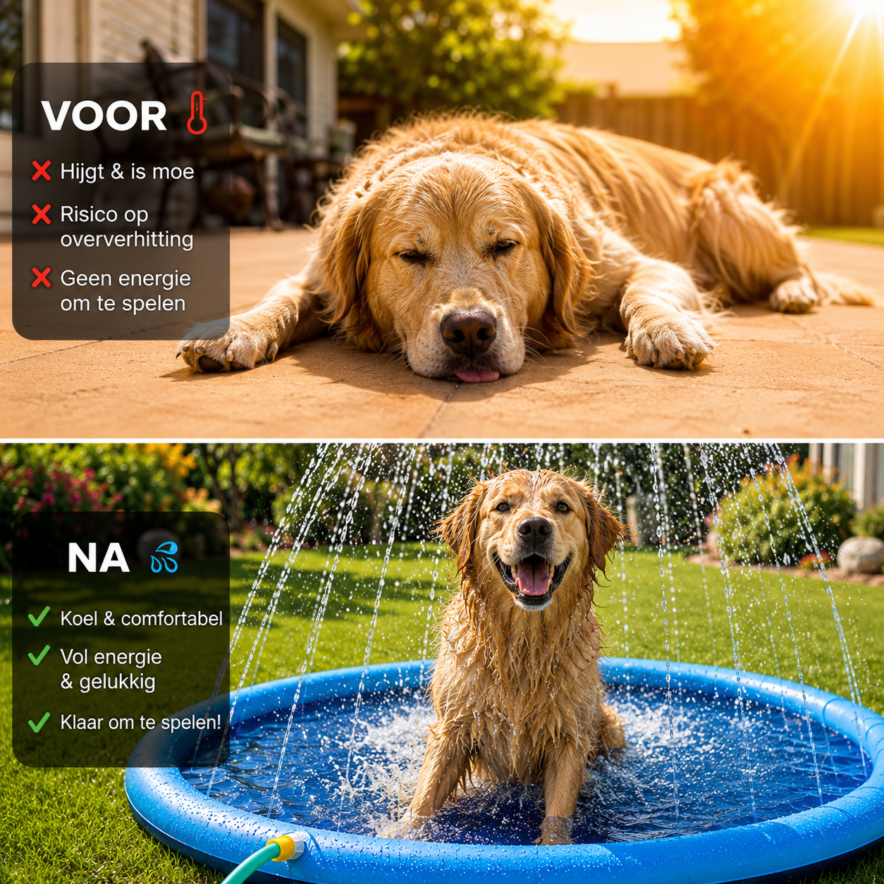 Pootr - CoolTail™ | Houd je hond koel & gelukkig deze zomer