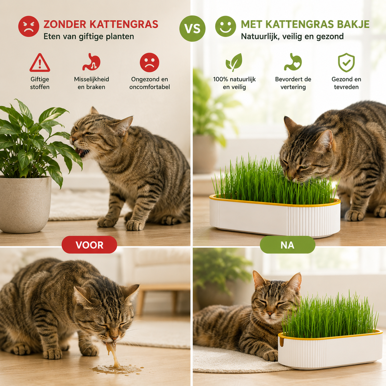 Pootr-happygut-grass™|natuurlijk-kattengras-tegen-haarballen-plantenbijten