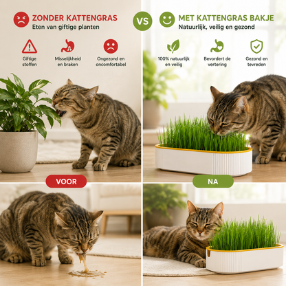 Pootr-happygut-grass™|natuurlijk-kattengras-tegen-haarballen-plantenbijten