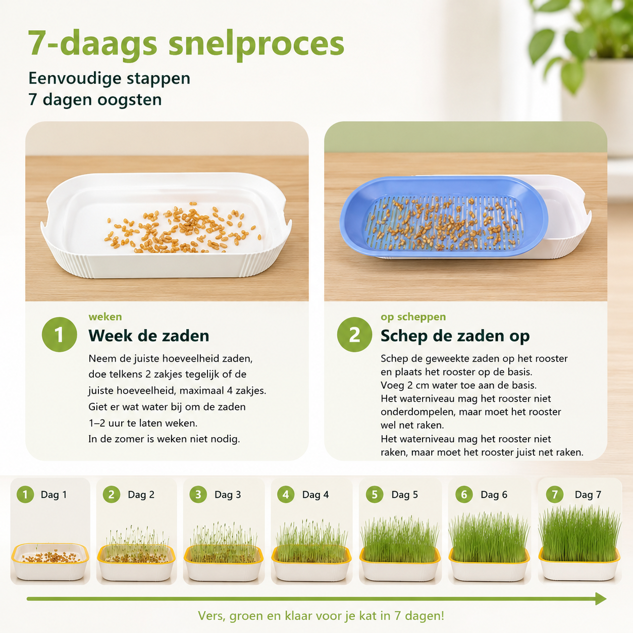 Pootr-happygut-grass™|natuurlijk-kattengras-tegen-haarballen-plantenbijten