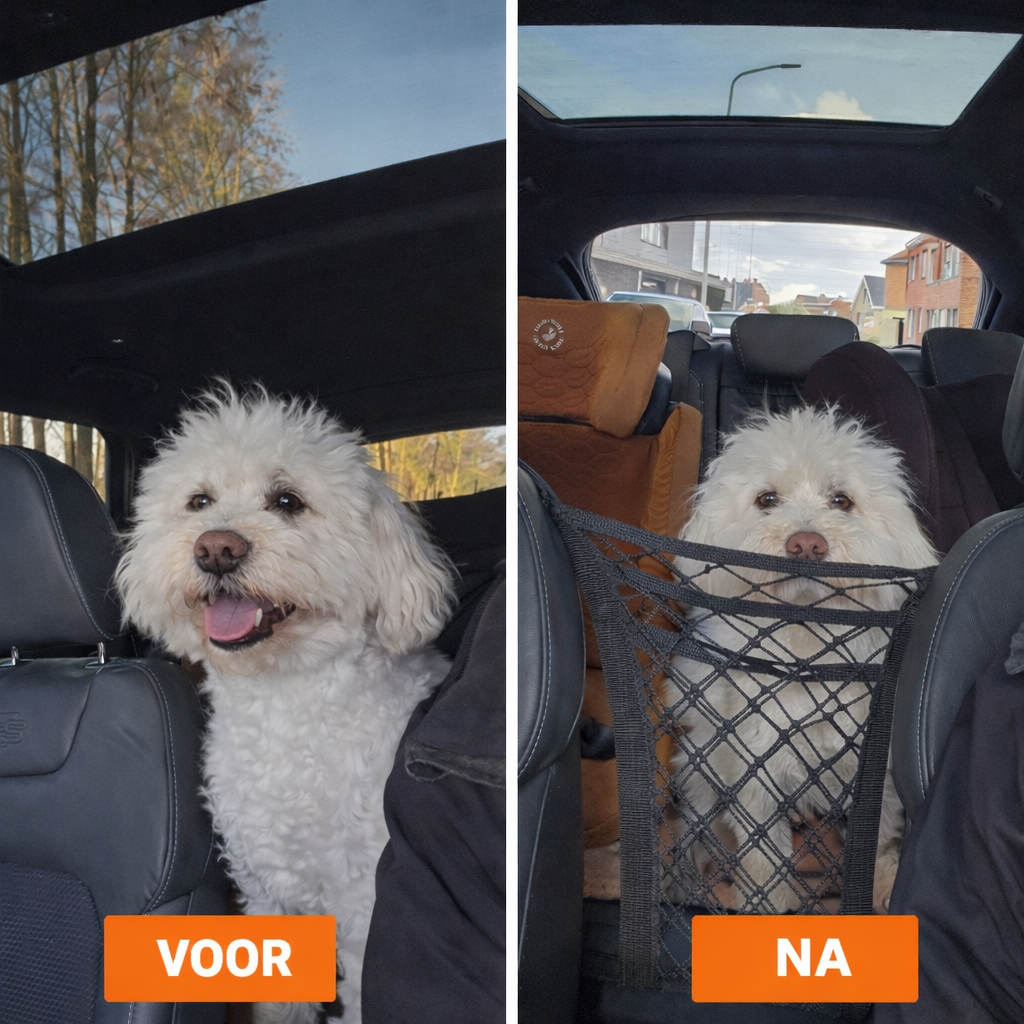 Pootr – AutoSafe Hondennet | “Voorkom dat je hond naar voren schiet bij een plotse rem”