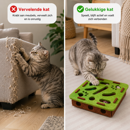 Pootr – PurrPlay™ | Bescherm je meubels & maak je kat gelukkig