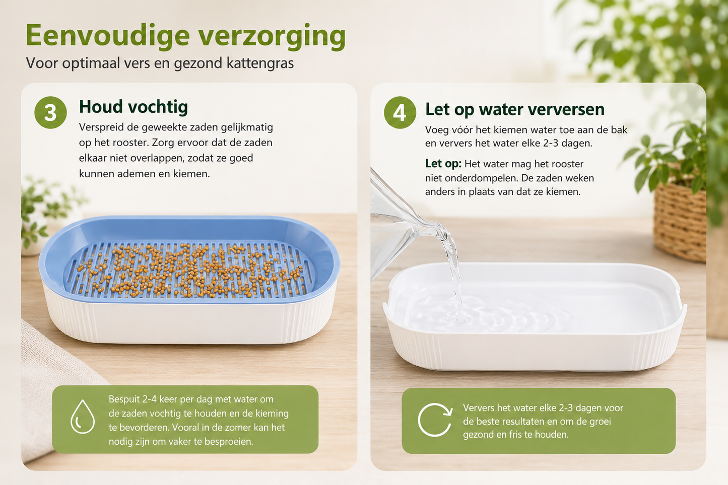 Pootr-happygut-grass™|natuurlijk-kattengras-tegen-haarballen-plantenbijten