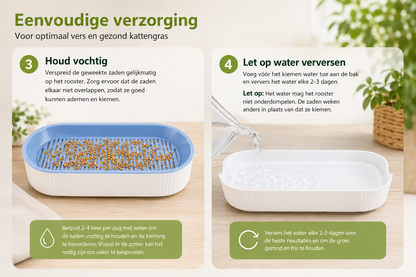 Pootr-happygut-grass™|natuurlijk-kattengras-tegen-haarballen-plantenbijten