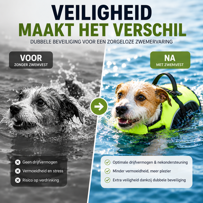 Voor en na: hond zwemt zonder zwemvest vs. Jack Russell zwemt veilig met Pootr AquaGuard™ groen zwemvest