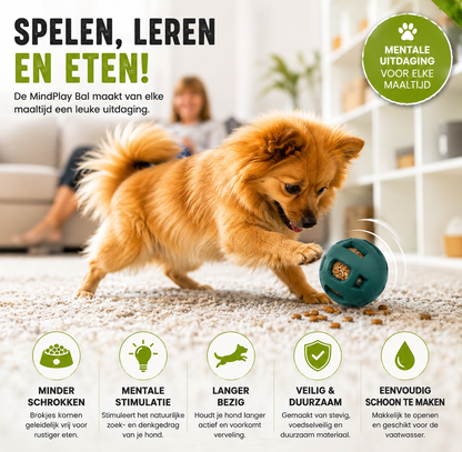 Pootr – MindPlay Bal | Mentale Uitdaging voor Elke Maaltijd