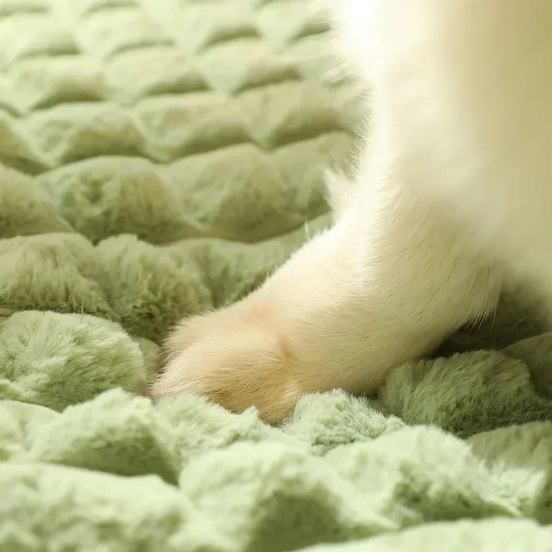 Pet Dog Bed Mat Protect Cervical Spine Detachable Dog House Indoor for Small Medium Large Dogs Bed Comfort Soft Pet