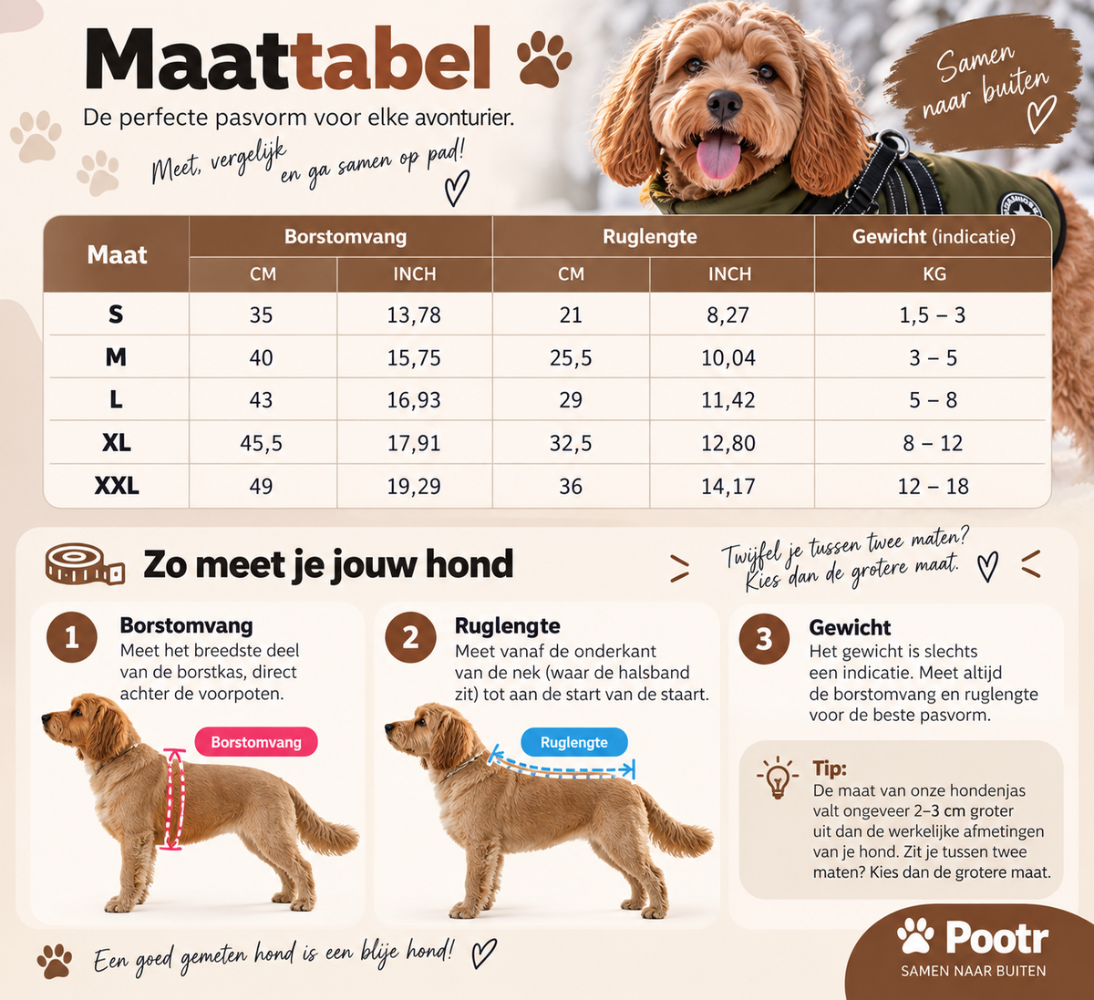 Pootr – CozyWalk™ | Houdt je hond warm tijdens elke wandeling