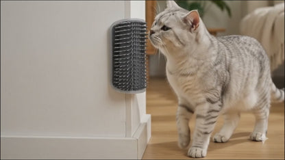 Pootr™ ScratchEase™ – Minder kattenharen in huis|Dagelijkse ontspanning voor je kat