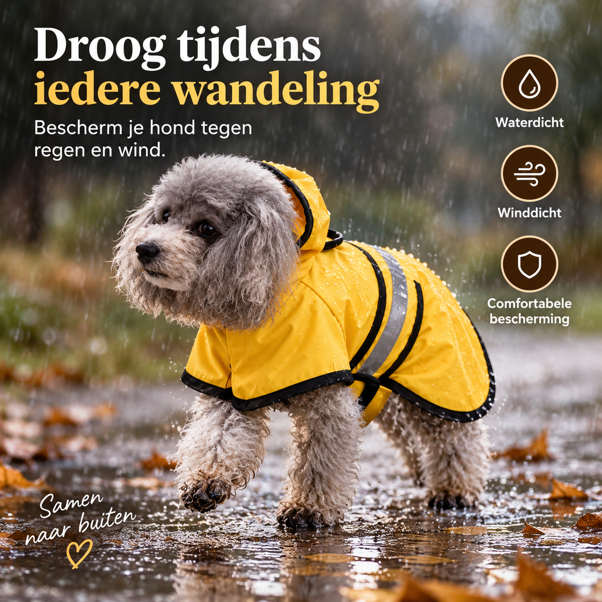 Pootr – PawProtect™ | Samen op stap in elk weer