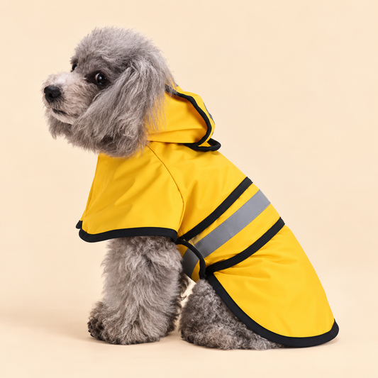 Pootr – PawProtect™ | Samen op stap in elk weer