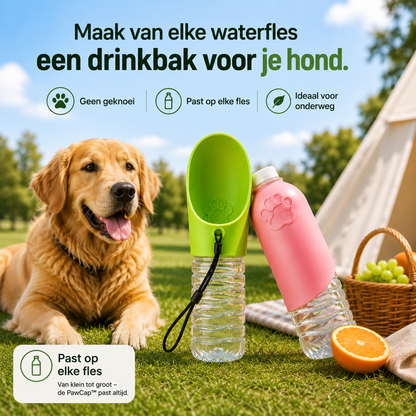 Pootr PawCap™ hondendrinkbak in roze en groen op waterfles, golden retriever op gras buiten
